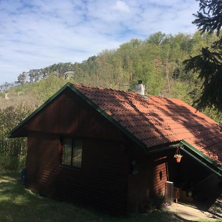 ZelizyChata U Certovych Hlav别墅 外观 照片